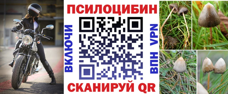 хочу   Опочка  Псилоцибиновые грибы Cubensis 