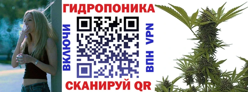 Канабис план  купить закладку  KRAKEN маркетплейс  Опочка 